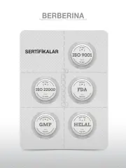 Goodday Berberina 60 Kapsül