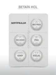 GOODDAY BETAİN HCL+ PEPSİN 60 KAPSÜL