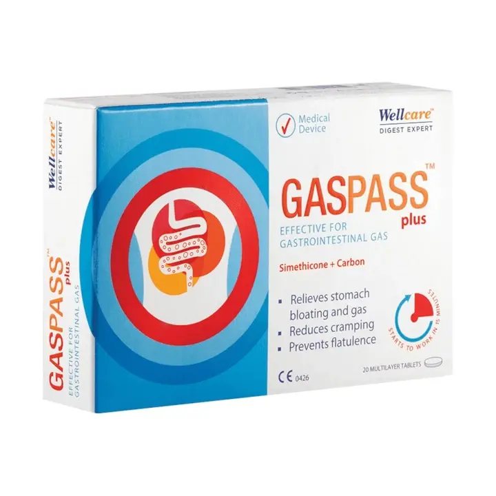 Wellcare Gaspass Plus 20 Blister Tablet
