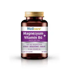 Wellcare Magnezyum Vitamin B6 60 Tablet